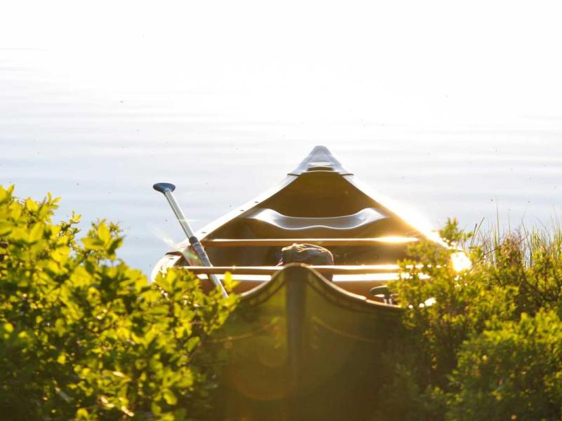 Felis metus iaculis nisl odio mus montes mollis consequat tempus vitae euismod quisque nam