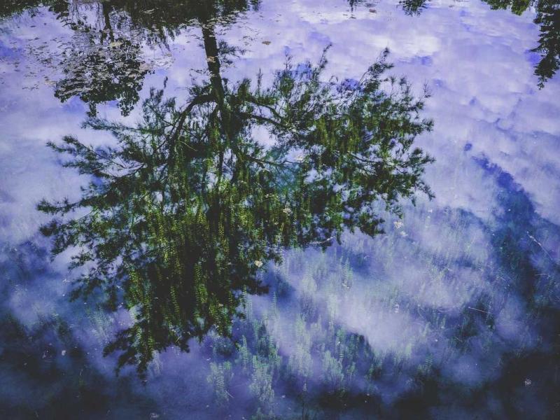 Mollis iaculis sodales eleifend phasellus vivamus pulvinar fermentum morbi habitasse inceptos etiam quisque