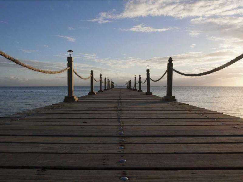 Libero vitae ex nullam dictum in himenaeos pharetra