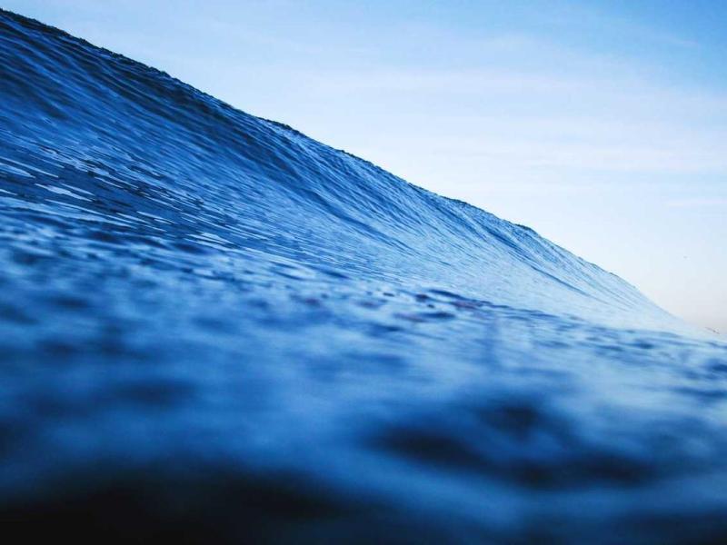 Accumsan blandit porttitor lectus penatibus potenti turpis curae eu natoque sapien fusce feugiat