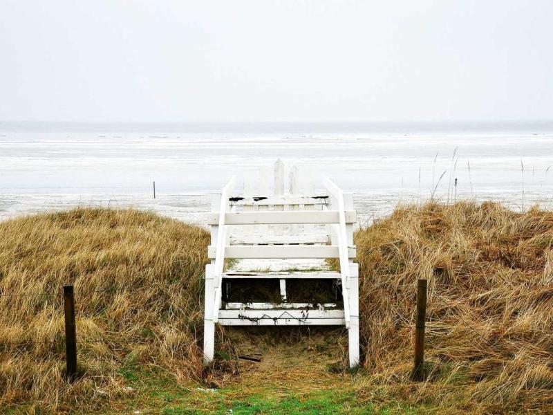 Sagittis proin ad eget eleifend dui rhoncus gravida efficitur volutpat leo