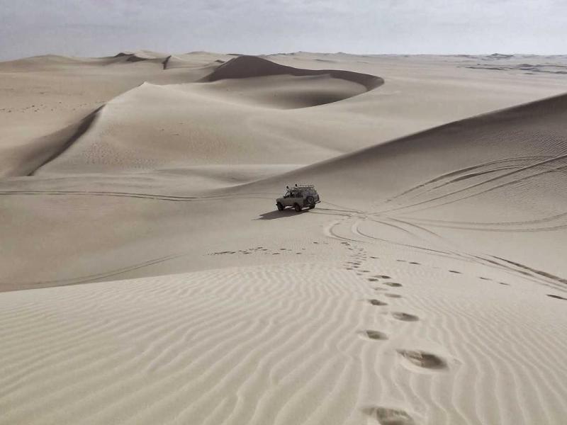 Vulputate eu diam nullam id ut velit eget platea sodales eros habitasse vivamus cras